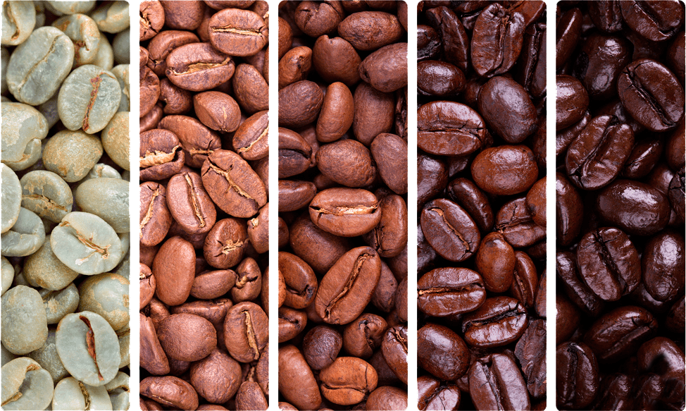 freshly roasted coffee